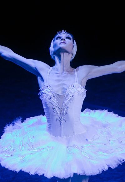 O Lago Dos Cisnes | Classic Stage